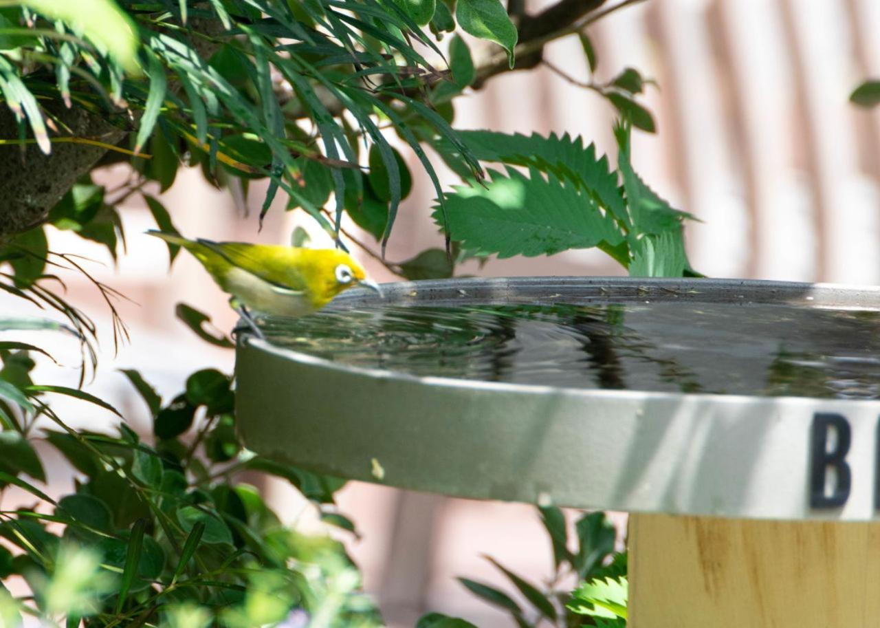 Bird Hotel 카마쿠라 외부 사진